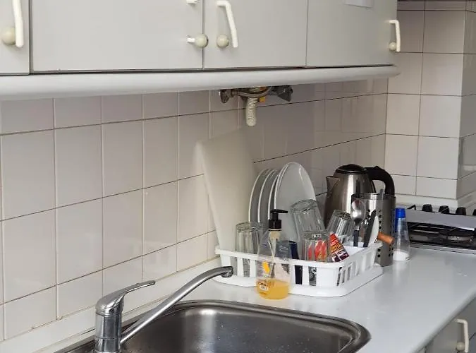 Rose View * Lissabon