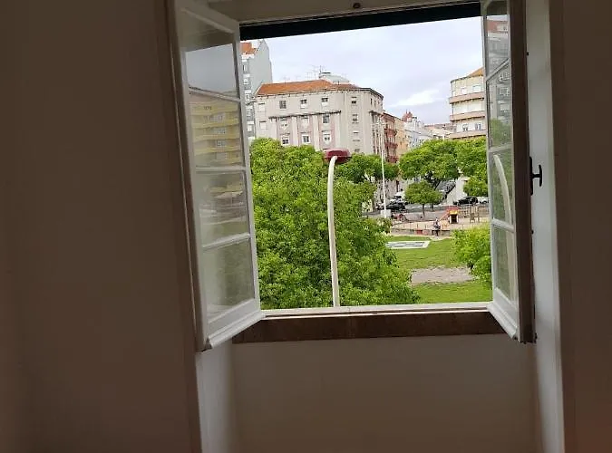 Rose View *