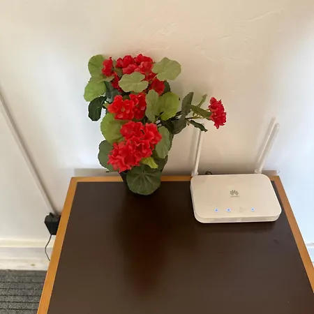בית הארחה Rose View
