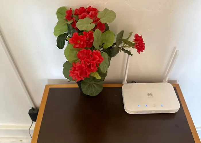 בית הארחה Rose View